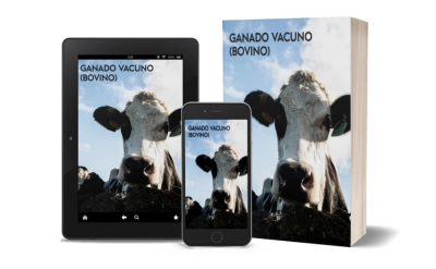 Ganado Vacuno (Bovino)