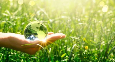 CapacitaciÃ³n en Ecosistemas EcolÃ³gicos
