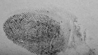 Curso de Ciencias Forenses