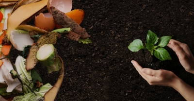 Curso de Abonos OrgÃ¡nicos y Bioinsumos