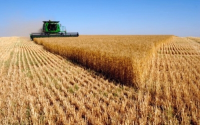 Diplomatura en Agronegocio