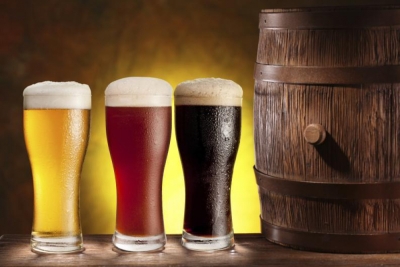 TÃ©cnico Auxiliar en ElaboraciÃ³n de Bebidas Artesanal...