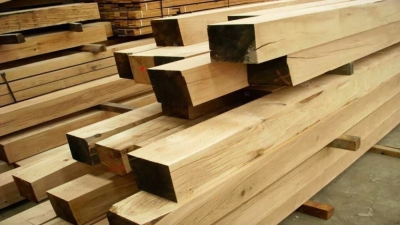 CapacitaciÃ³n en Madera como material para la construcci...
