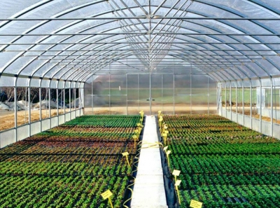 Diplomatura en Viveros y Huertas Urbanas Ecológicas