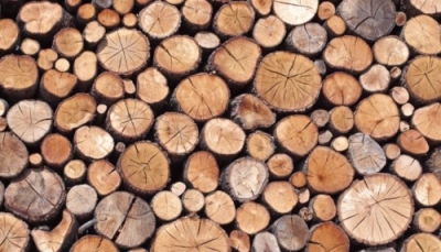 CapacitaciÃ³n en Construcciones de Madera