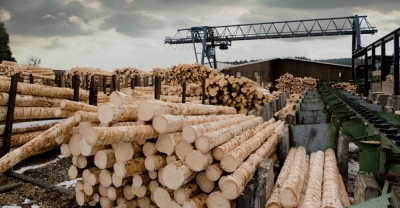 Diplomatura en Madera, Aserradero y Carpintería Industria...