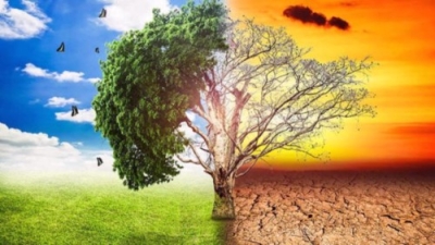 Diplomatura en Cambio ClimÃ¡tico