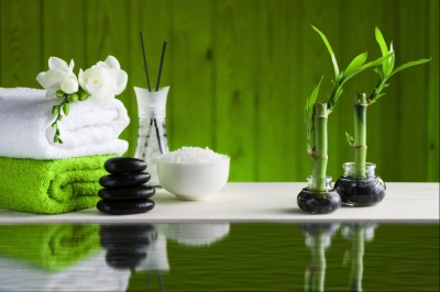Capacitación en Feng Shui y su Aplicación en el Diseño,...