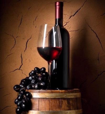 Capacitación en Elaboración de Vinos Artesanales