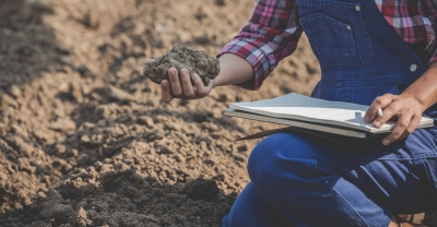 Diplomatura en Medio Ambiente + IA