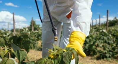 Capacitación en Control Fitosanitarios en Plantas