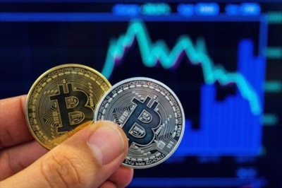 Certificación en Criptomonedas + IA
