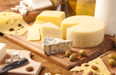 ElaboraciÃ³n de Quesos Artesanales y Productos LÃ¡cteos