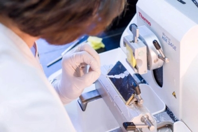 Capacitación en Anatomía Patológica