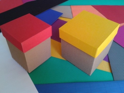CapacitaciÃ³n en Cajas y Artesanias en CartÃ³n