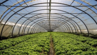 CapacitaciÃ³n en GestiÃ³n y Cultivo en Invernaderos