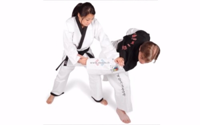 CapacitaciÃ³n en Artes Marciales